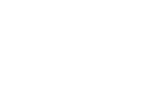 JNM Arts